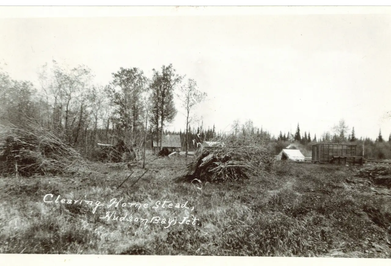 Clearing a homestead near Hudson Bay Junction, about 1925