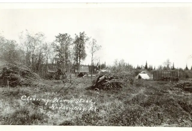Clearing a homestead near Hudson Bay Junction