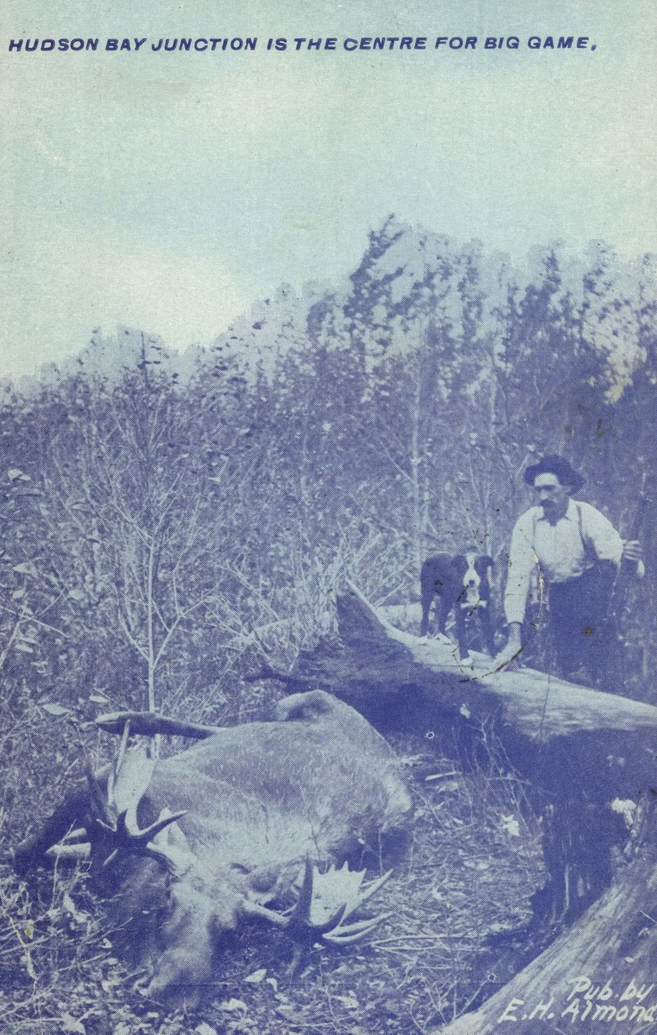 Hunter with a moose near Hudson Bay Junction, about 1910